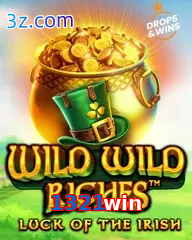 1321win slot wild wild riches